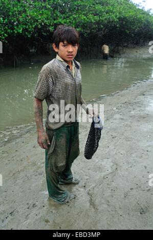 Gusci nero raccoglitori - mangrovie in PUERTO PIZARRO . Dipartimento di Tumbes .PERÙ Foto Stock