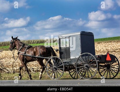 Amish buggy, Leacock, Lancaster County, Pennsylvania, STATI UNITI D'AMERICA Foto Stock