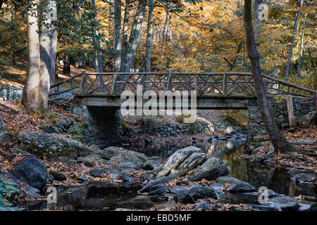 Headless Horseman Bridge, Sleepy Hollow, New York, Stati Uniti d'America Foto Stock