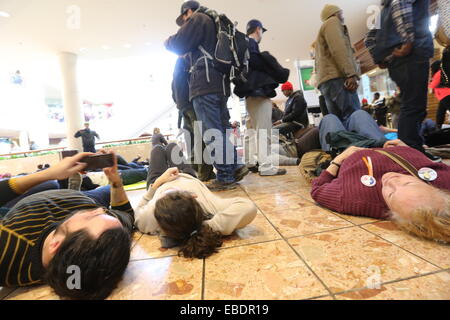 San Luigi. 28 Nov, 2014. I manifestanti sdraiarsi sul terreno del Centro Commerciale Galleria sul Venerdì nero in reazione alla non accusa a carico del funzionario di polizia Darren Wilson che ha ucciso 18-anno-vecchio Michael Brown, a St. Louis, Stati Uniti, Nov, 28, 2014. Credito: Marcus DiPaola/Xinhua/Alamy Live News Foto Stock