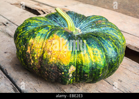 La zucca sul legno vecchio Foto Stock