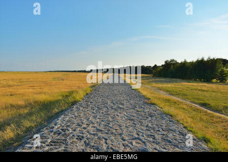 Percorso Dike, Plogshagen in estate, isola baltica di Hiddensee, Baltico Pomerania Occidentale, Germania Foto Stock