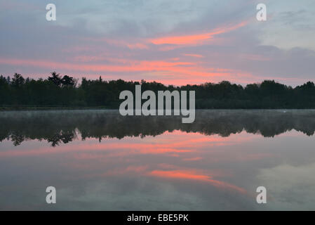 Lago Rothenbachteich all'alba, Bermuthshain, Grebenhain, Vogelsberg distretto, Hesse, Germania Foto Stock