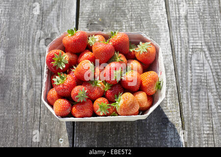 Close-up di fragole appena raccolte nel contenitore a cassetta sul tavolo all'aperto, Germania Foto Stock