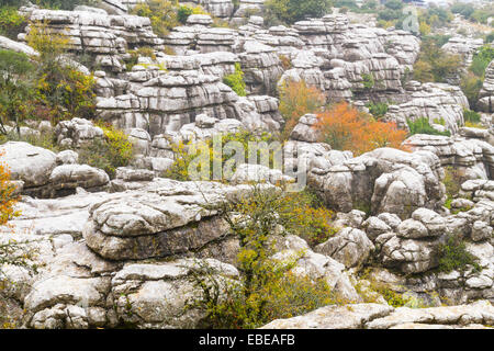 Il Calcare formazioni rocciose del Parco Nazionale di El Torcal vicino a Antequera Spagna Foto Stock