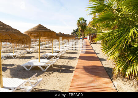 Righe vuote di lettini per prendere il sole su una spiaggia in Spagna sulla Costa del Sol Foto Stock