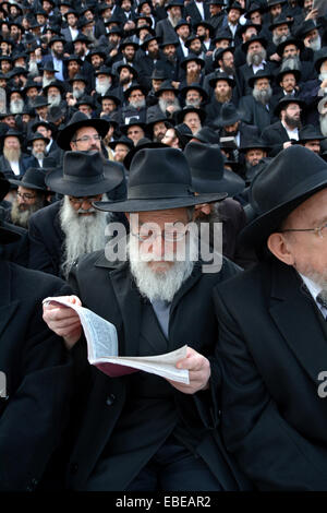 Alcune delle migliaia di rabbini ortodossi emissari, uno studio, in una foto di gruppo alla convenzione di Lubavitch emissari in NYC Foto Stock