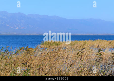 Scena autunnale del lago e reed in colori vibranti Foto Stock