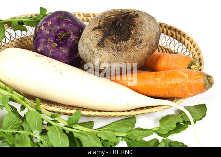 Ortaggi a radice utilizzata per insalate soprattutto nella stagione invernale Foto Stock