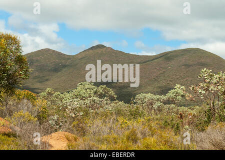 Mt Magog nel range di Stirling NP, WA, Australia Foto Stock