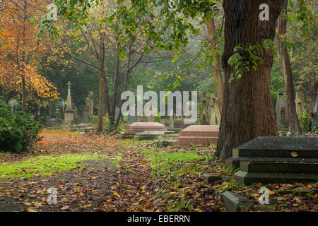 Moody pomeriggio autunnale a Brighton Borough cimitero. Foto Stock