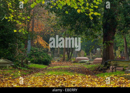 Moody pomeriggio autunnale a Brighton Borough cimitero. Foto Stock