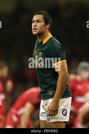 Cardiff, Regno Unito. 29 Nov, 2014. Jan Serfontein del Sud Africa - Autunno intenzionali - Galles vs Sud Africa - Millennium Stadium - Cardiff - Galles - 29 novembre 2014 - Picture Simon Bellis/Sportimage. Credito: csm/Alamy Live News Foto Stock