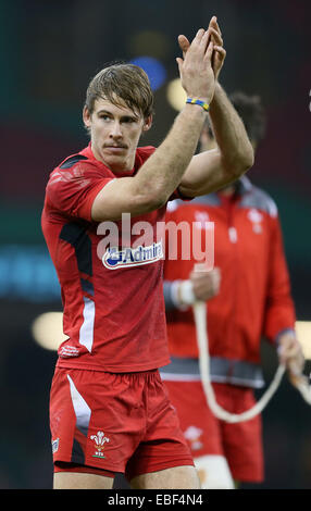 Cardiff, Regno Unito. 29 Nov, 2014. Liam Williams del Galles - Autunno intenzionali - Galles vs Sud Africa - Millennium Stadium - Cardiff - Galles - 29 novembre 2014 - Picture Simon Bellis/Sportimage. Credito: csm/Alamy Live News Foto Stock