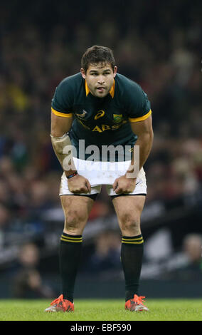 Cardiff, Regno Unito. 29 Nov, 2014. Cobus Reinach del Sud Africa - Autunno intenzionali - Galles vs Sud Africa - Millennium Stadium - Cardiff - Galles - 29 novembre 2014 - Picture Simon Bellis/Sportimage. Credito: csm/Alamy Live News Foto Stock