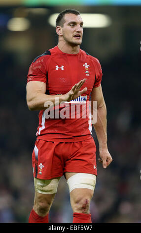 Cardiff, Regno Unito. 29 Nov, 2014. Sam Warburton del Galles - Autunno intenzionali - Galles vs Sud Africa - Millennium Stadium - Cardiff - Galles - 29 novembre 2014 - Picture Simon Bellis/Sportimage. Credito: csm/Alamy Live News Foto Stock