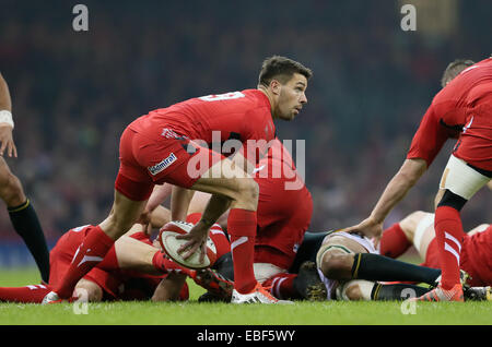 Cardiff, Regno Unito. 29 Nov, 2014. Rhys Webb del Galles - Autunno intenzionali - Galles vs Sud Africa - Millennium Stadium - Cardiff - Galles - 29 novembre 2014 - Picture Simon Bellis/Sportimage. Credito: csm/Alamy Live News Foto Stock