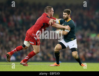 Cardiff, Regno Unito. 29 Nov, 2014. Autunno intenzionali - Galles vs Sud Africa - Millennium Stadium - Cardiff - Galles - 29 novembre 2014 - Picture Simon Bellis/Sportimage. Credito: csm/Alamy Live News Foto Stock