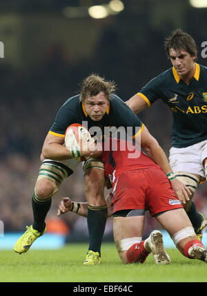 Cardiff, Regno Unito. 29 Nov, 2014. Duane Vermeulen del Sud Africa - Autunno intenzionali - Galles vs Sud Africa - Millennium Stadium - Cardiff - Galles - 29 novembre 2014 - Picture Simon Bellis/Sportimage. Credito: csm/Alamy Live News Foto Stock