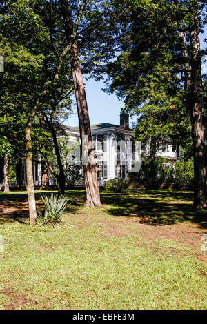 Rowan Oak House. Casa di William Faulkner in Oxford Mississippi Foto Stock