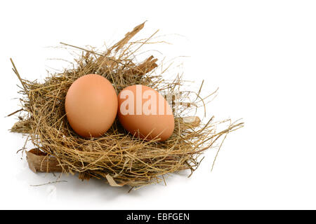 Le uova di gallina in nido Foto Stock