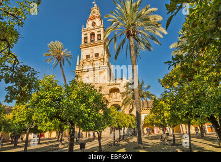 La moschea o Cattedrale Mezquita di Cordova la torre principale e le campane con alberi di arancio in un cortile Foto Stock