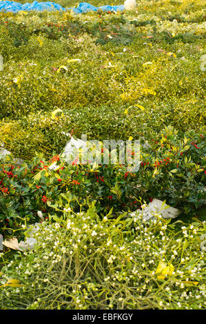 Tenbury Wells vischio e agrifoglio vendite Foto Stock