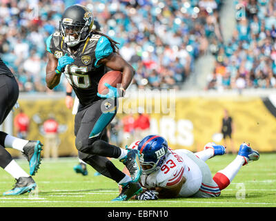 Il Jacksonville, FL, Stati Uniti d'America. 30 Novembre, 2014. Jacksonville Jaguars running back Denard Robinson (16) scivola il paranco di New York Giants tackle difensivo Mike Patterson (93) durante la prima metà di NFL di azione di gioco fra i New York Giants e dei Jacksonville Jaguars al campo EverBank a Jacksonville, FL © csm/Alamy Live News Foto Stock