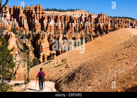 Escursionista femmina sul pieghevole Loop Trail, Anfiteatro di Bryce hoodoos in background. Parco Nazionale di Bryce Canyon, Utah, Stati Uniti d'America. Foto Stock