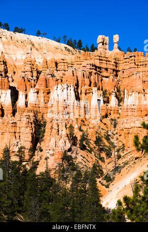 Il Thor del martello e altri hoodoos. Parco Nazionale di Bryce Canyon, Utah, Stati Uniti d'America. Foto Stock