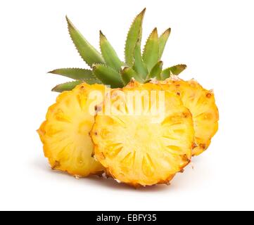 Baby ananas isolato Foto Stock