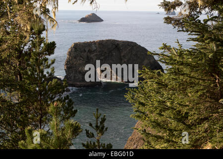 Arch Rock area picnic sulla US Route 101 su Oregon Coast su 12 miglio Samuel H. Boardman membro Scenic corridoio Foto Stock