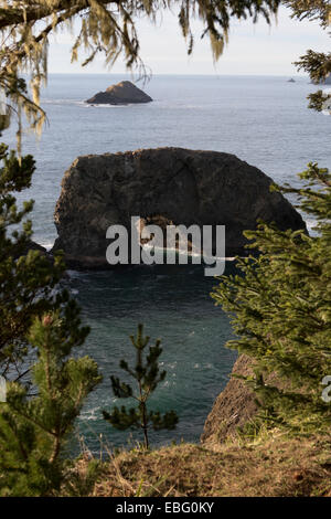 Arch Rock area picnic sulla US Route 101 su Oregon Coast su 12 miglio Samuel H. Boardman membro Scenic corridoio Foto Stock