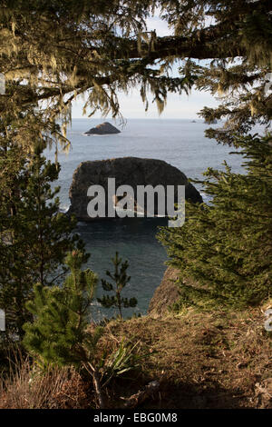 Arch Rock area picnic sulla US Route 101 su Oregon Coast su 12 miglio Samuel H. Boardman membro Scenic corridoio Foto Stock