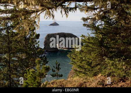 Arch Rock area picnic sulla US Route 101 su Oregon Coast su 12 miglio Samuel H. Boardman membro Scenic corridoio Foto Stock