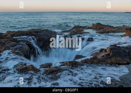 Thors bene a Cape perpetua sul Oregon Coast Foto Stock