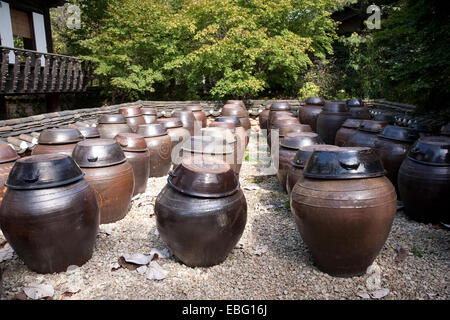 In Corea, la salsa di soia è stata tradizionalmente realizzati consentendo i fagioli di soia, mescolato con il lievito, a fermentare all'aperto in grandi urne cinerarie. Foto Stock