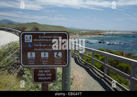 Piedras Blancas settentrionale guarnizione di elefante rookery, Pacific Coast Highway, nei pressi di San Simeone, Central Coast, CALIFORNIA, STATI UNITI D'AMERICA Foto Stock