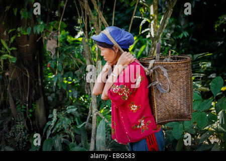 Una donna che porta un cesto di rattan mentre cammina sul lato di una strada a Kapuas Hulu, Kalimantan occidentale, Indonesia. Foto Stock