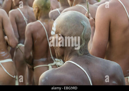 Apertura del nuovo sadhus, durante il Kumbha Mela Festival, di Allahabad, Uttar Pradesh, India Foto Stock