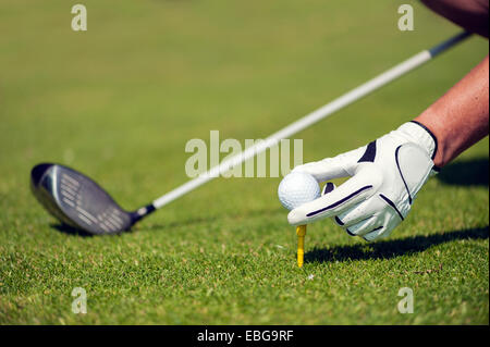 Mano con un guanto mettendo una pallina da golf su un raccordo a T, Golfclub Schloss Myllendonk, Korschenbroich, Nord Reno-Westfalia, Germania Foto Stock