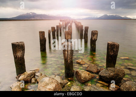 Vecchi pilastri di un pontile, Isla Diego Portales sul retro, Puerto Natales, Última Esperanza Provincia del Cile Foto Stock