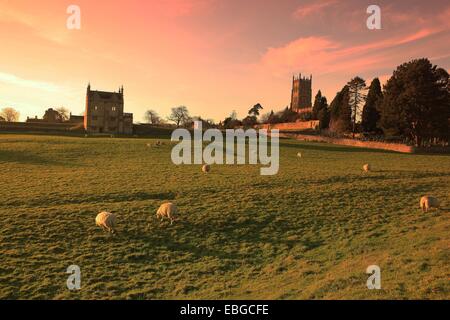 Pecore al pascolo sotto la chiesa di lana e i resti di un antico maniero a Chipping Campden in Cotswolds Foto Stock