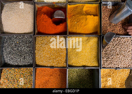 Varie spezie e lenticchie in un mercato, Jodhpur, Rajasthan, India Foto Stock