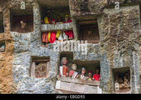 (Lemo Tana Toraja, Sulawesi meridionale, Indonesia), famoso luogo di sepoltura con bare poste in grotte scavate nella roccia, custodito da Foto Stock