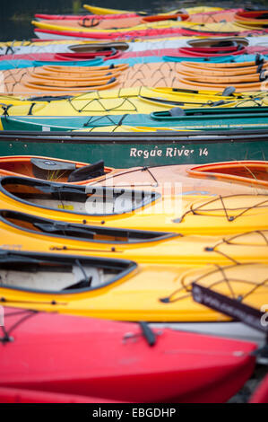 Kayak in una fila in riva al lago Eklutna vicino a Anchorage in Alaska. Foto Stock