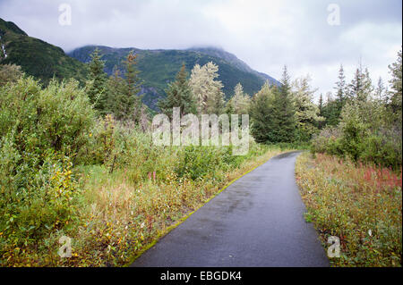 Piccola strada che conduce nel bosco in Portage Valley, Alaska Foto Stock