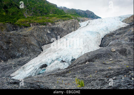 Exit Glacier vicino a Seward Alaska Foto Stock