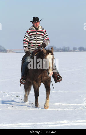 L'uomo corse American Paint Horse Foto Stock