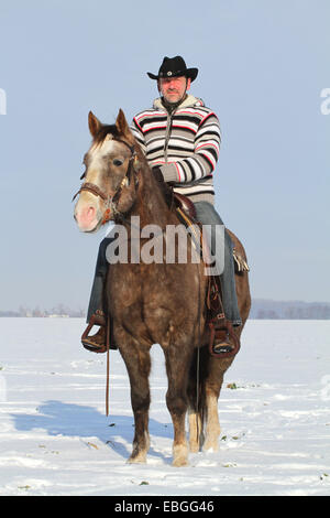 L'uomo corse American Paint Horse Foto Stock